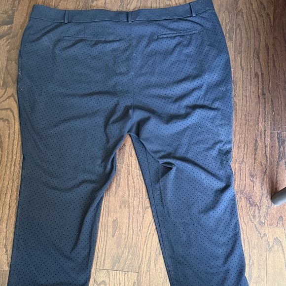 LOFT Plus Dark Blue Pants with Black Dots - Picture 12 of 12